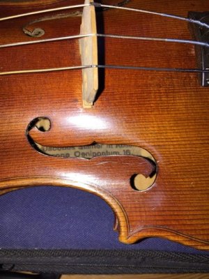 violin4.jpg