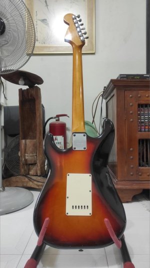 Maya Electric Guitar 2.jpg