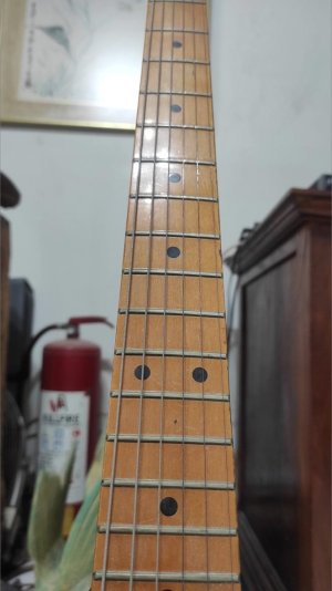 Maya Electric Guitar 4.jpg