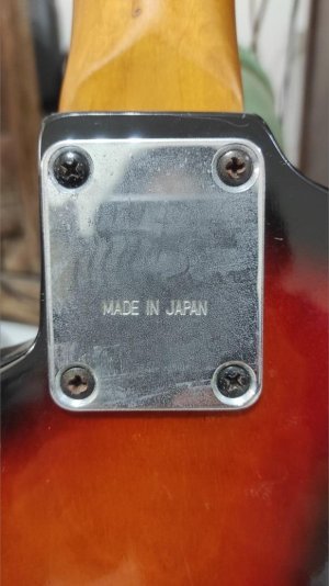 Maya Electric Guitar 5.jpg