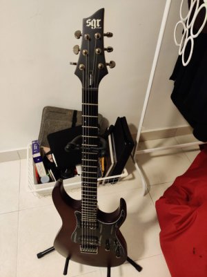 Electric Guitar, Schecter Banshee-6 SGR.jpg