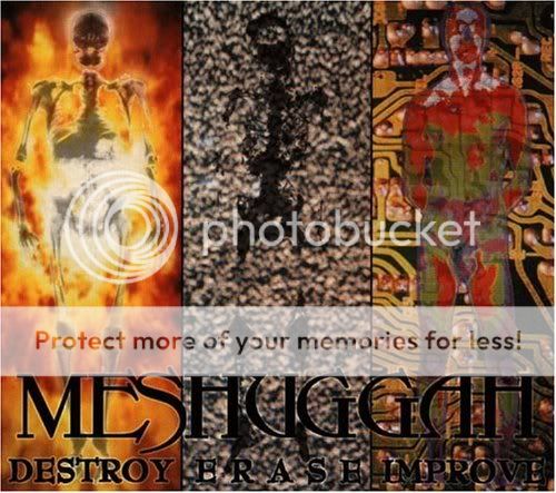 Meshuggah-DestroyErase.jpg