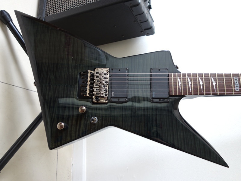 esp-ltd-ex-401dx-electric-guitar-see-thru-black-front-body.JPG
